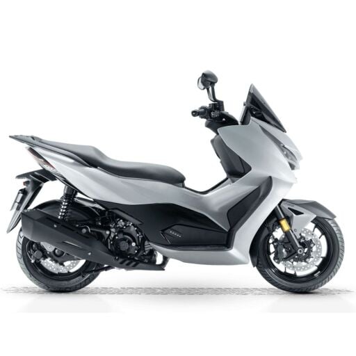 RZ 250S (2024 - )
